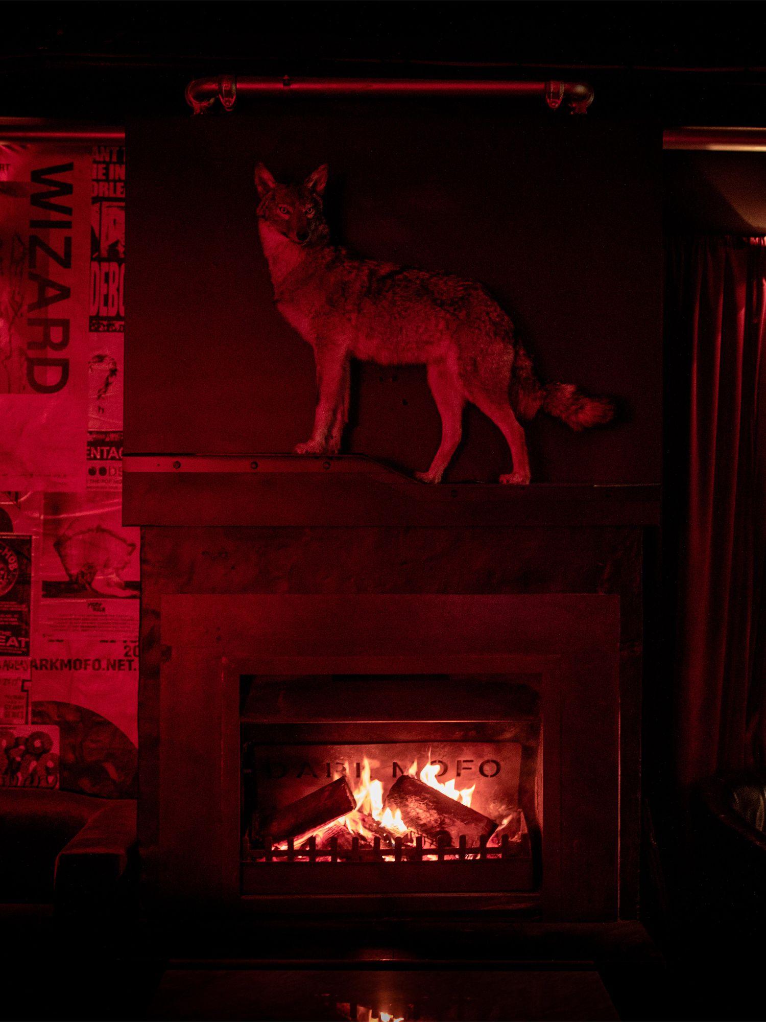 The Altar Bar fireplace with taxidermy coyote mounted above it.